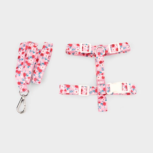 Guia para Cães da Bibi Rosa 1035401 16